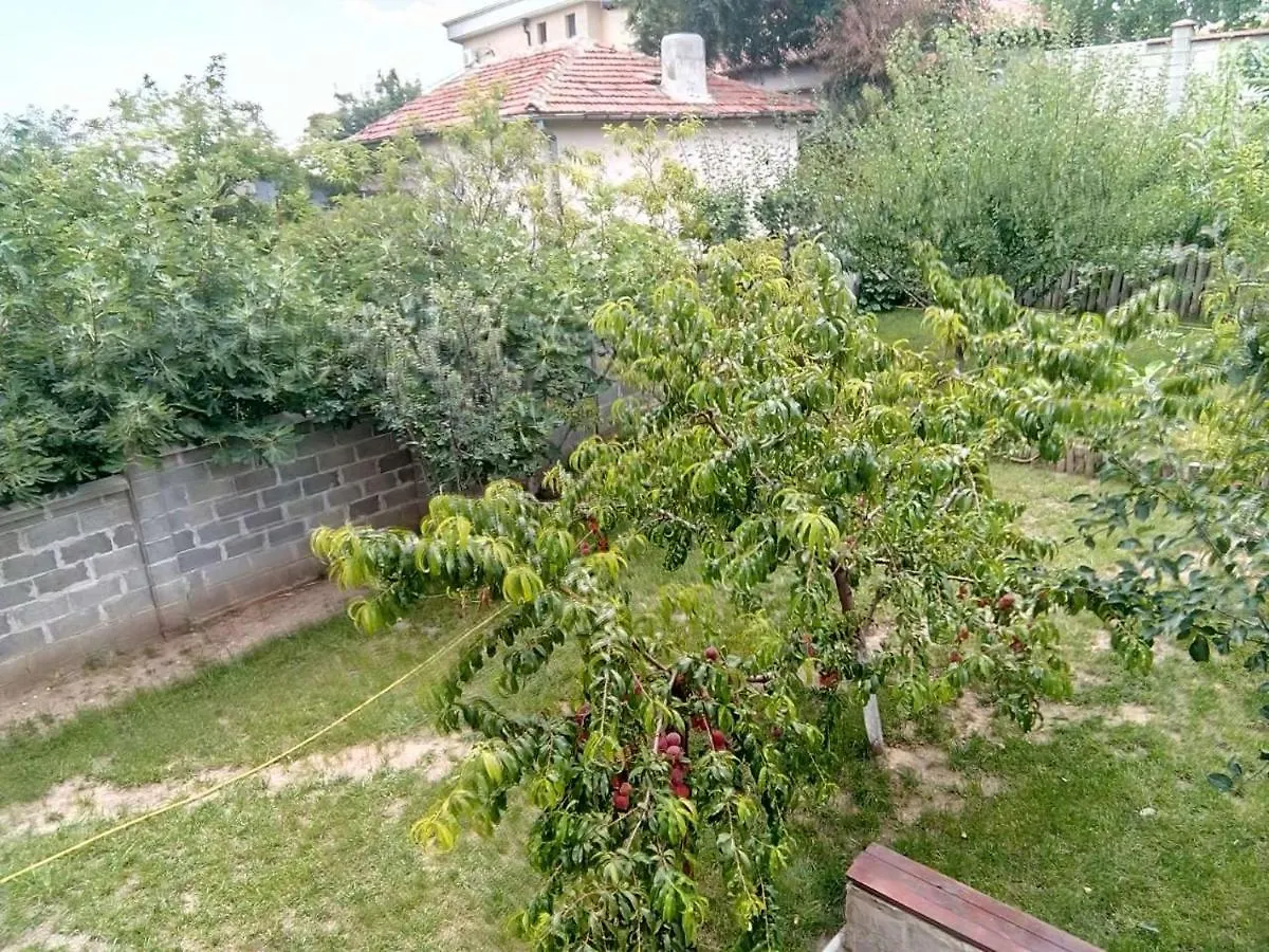 Alfa Guest House Varna 0*,